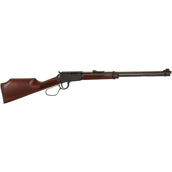 Buy Henry Varmint Express 17HMR 20